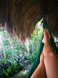 Low section of woman legs against trees
