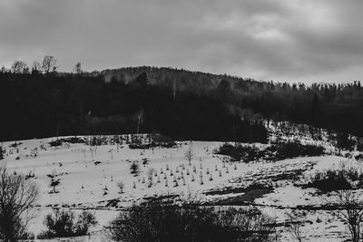 Scenic view of snow covered mountains against sky