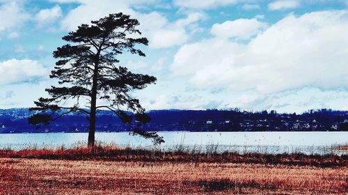 Scenic view of lake against sky