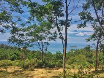 Scenic view of forest and mountain against sky