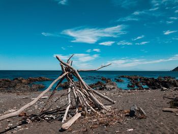 Driftwood on beach against sky