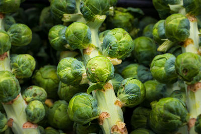 Full frame shot of brussels sprouts
