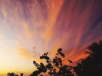 Low angle view of silhouette trees against dramatic sky