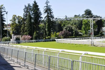 View of soccer field by trees against sky