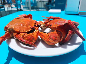 Close-up of sea food in plate on table