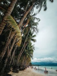 Boracay island