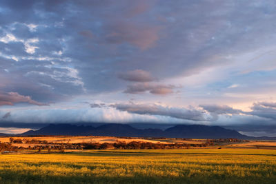 Scenic view of agricultural field against sky