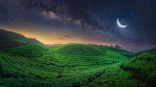 Scenic view of field against sky