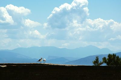 Man on mountain against sky