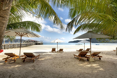 Chairs and palm trees on beach against sky