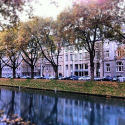 Reflection of buildings in canal