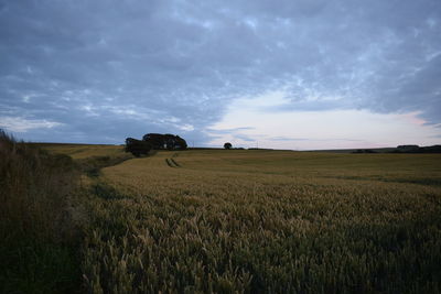 Scenic view of field against cloudy sky