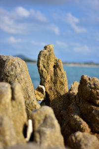 Close-up of rocks by sea against sky
