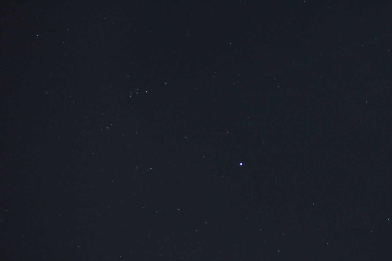 LOW ANGLE VIEW OF STAR FIELD AGAINST SKY