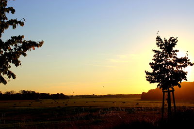 Silhouette trees on field against clear sky