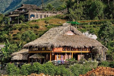 Plants and houses in village amidst trees and buildings