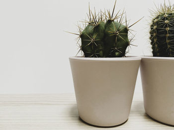 Close-up of potted plant on table