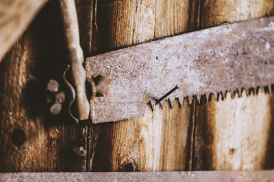 Close-up of rusty hand saw on nail against wooden wall