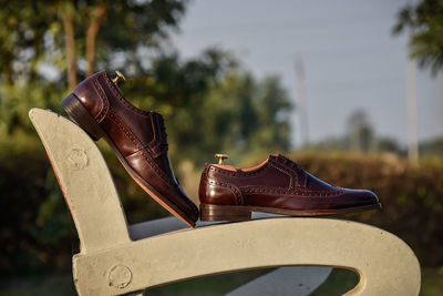 Close-up of shoes on tree