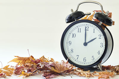 Close-up of alarm clock with autumn leaves against white background