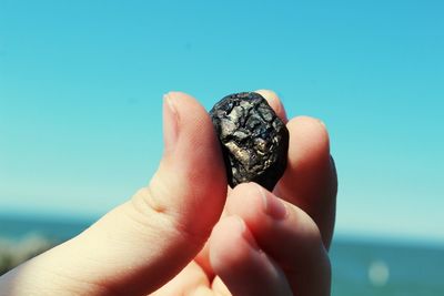 Close-up of hand holding crab at beach