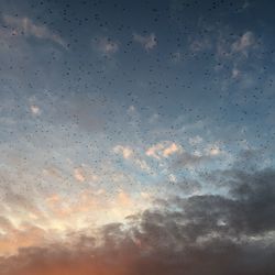 Low angle view of birds flying in sky