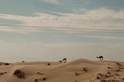 Scenic view of desert against sky during sunset