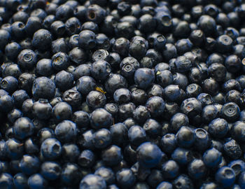 Full frame shot of blueberries