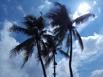 Low angle view of palm tree against sky