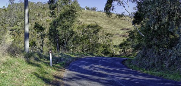 Country road along trees