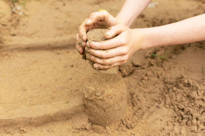 Close-up of hand holding sand