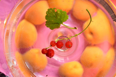 High angle view of tomatoes in bowl