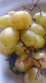 Close-up of fruits hanging