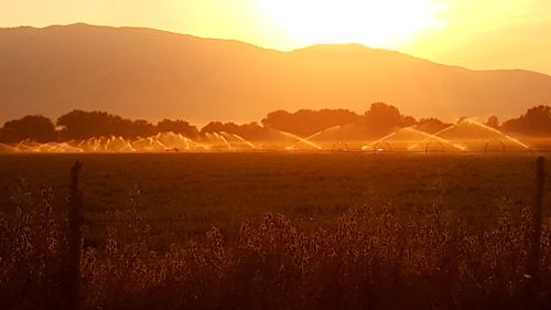 Agricultural sprinkler on field by mountain during sunset