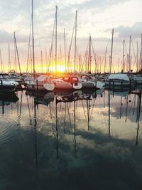 Sailboats moored at harbor