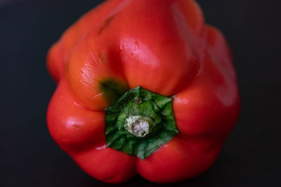 Close-up of red bell pepper against black background