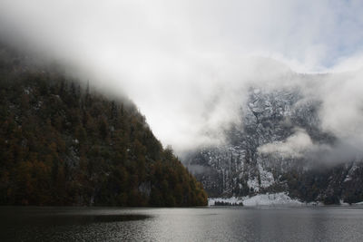 Scenic view of lake by trees against sky