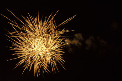 Low angle view of firework display against sky at night