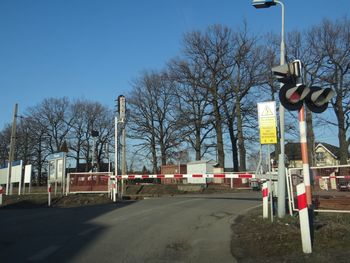 Road sign by bare trees against clear sky