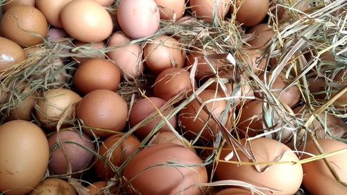 High angle view of eggs in container