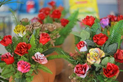 Close-up of red roses