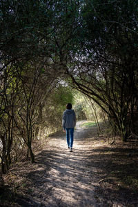 Rear view of man walking on footpath in forest