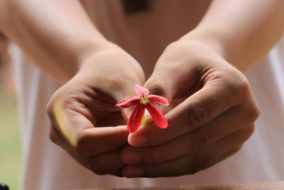 Midsection of woman holding flower