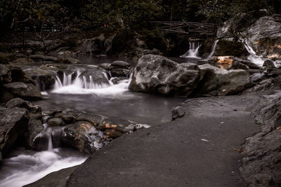 Scenic view of waterfall in forest