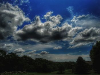 Low angle view of trees against blue sky