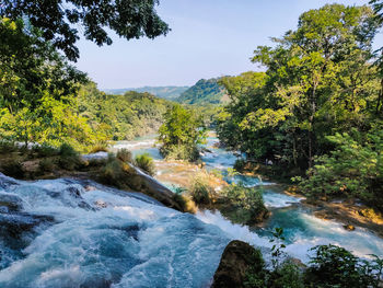 Scenic view of waterfall in forest against sky