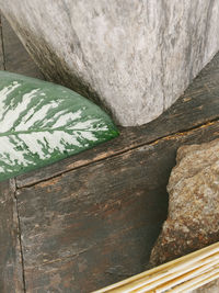 High angle view of bread on rock against wall