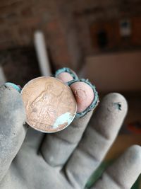 High angle view of eggs on table