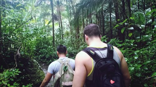 People relaxing in forest