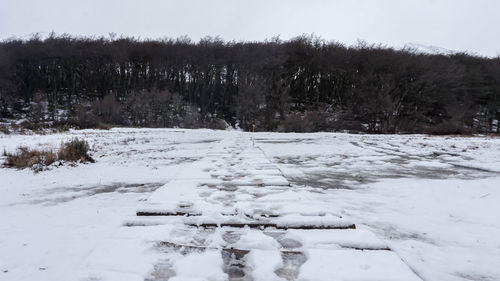 Snow covered field by trees